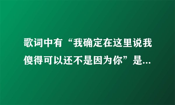 歌词中有“我确定在这里说我傻得可以还不是因为你”是什么歌？