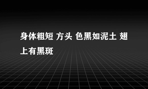 身体粗短 方头 色黑如泥土 翅上有黑斑