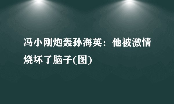 冯小刚炮轰孙海英:他被激情烧坏了脑子(图)