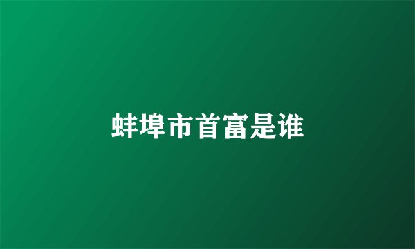 蚌埠市首富是谁