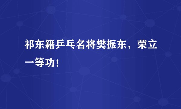 祁东籍乒乓名将樊振东，荣立一等功！