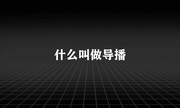 什么叫做导播