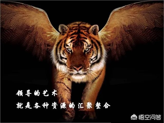 新任的单位一把手,如何看待主动靠近你并积极汇报的下属人员?