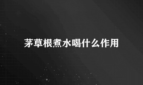 茅草根煮水喝什么作用