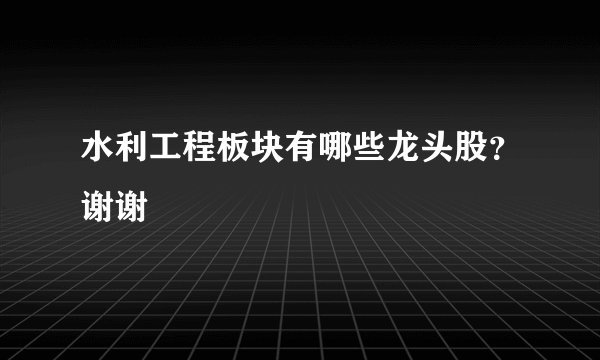 水利工程板块有哪些龙头股？谢谢
