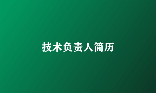 技术负责人简历