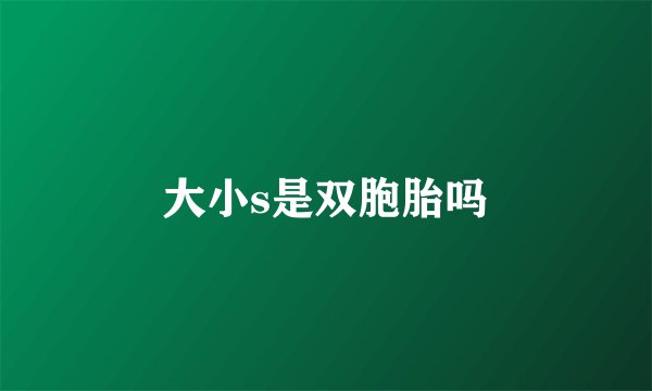 大小s是双胞胎吗