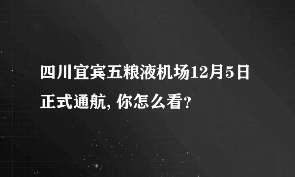 四川宜宾五粮液机场12月5日正式通航, 你怎么看？