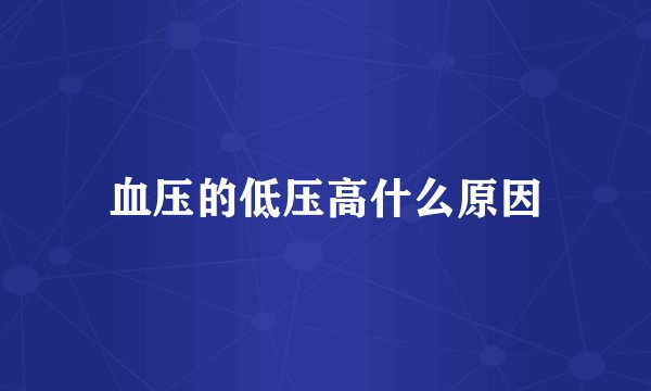 血压的低压高什么原因