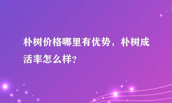 朴树价格哪里有优势，朴树成活率怎么样？