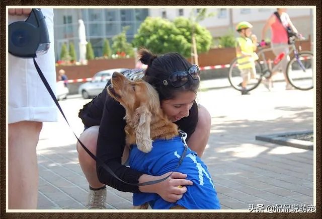 为什么我家狗狗每次突然见到主人我,都会尿失禁?