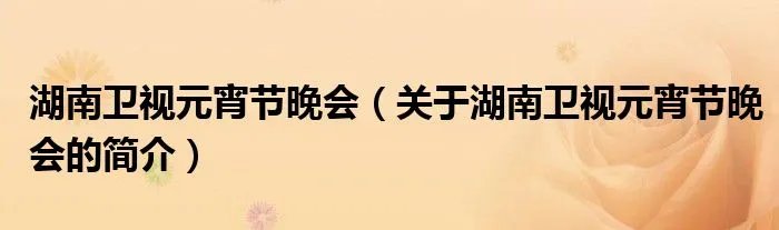 湖南卫视元宵节晚会（关于湖南卫视元宵节晚会的简介）