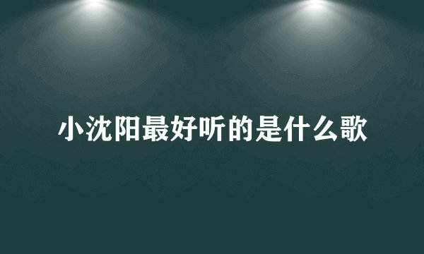 小沈阳最好听的是什么歌
