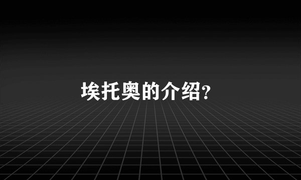 埃托奥的介绍?
