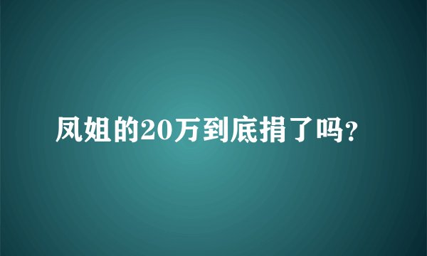 凤姐的20万到底捐了吗？