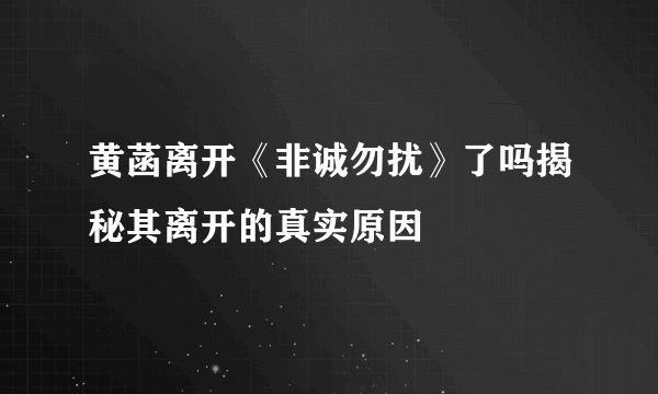 黄菡离开《非诚勿扰》了吗揭秘其离开的真实原因