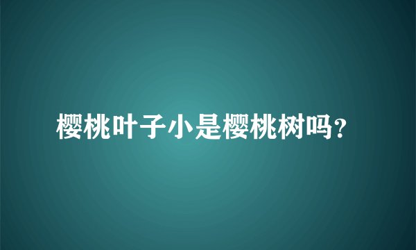 樱桃叶子小是樱桃树吗？