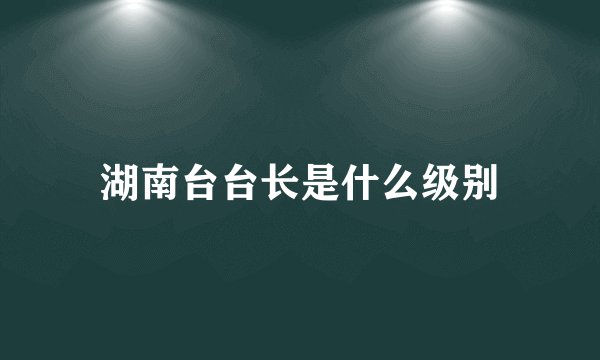 湖南台台长是什么级别