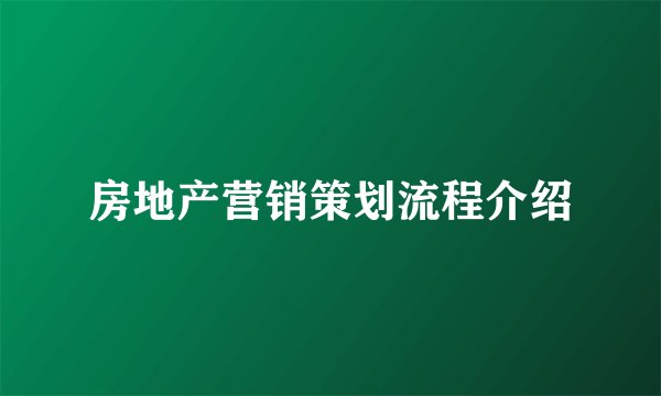 房地产营销策划流程介绍