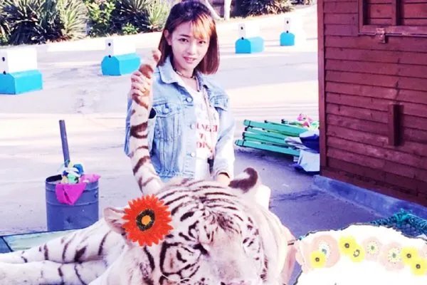 王梓芠的演员之路在经过这个“小三事件”之后是不是彻底断绝了?