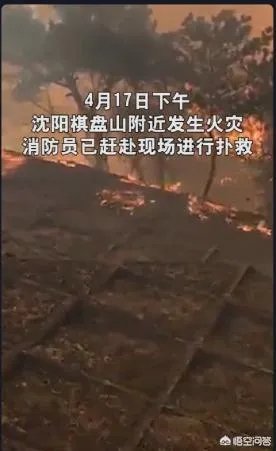 沈阳棋盘山大火过后还能恢复原样吗？需要多久？