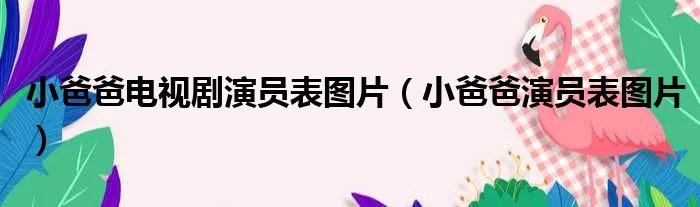 小爸爸电视剧演员表图片（小爸爸演员表图片）