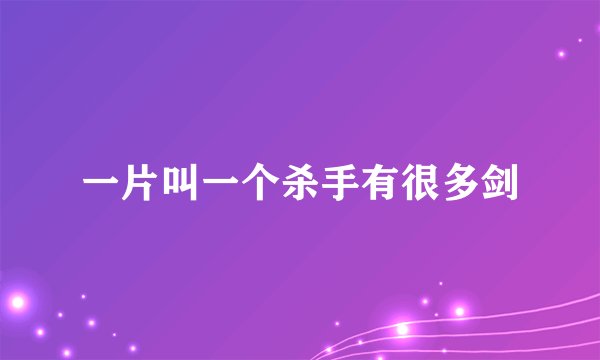 一片叫一个杀手有很多剑