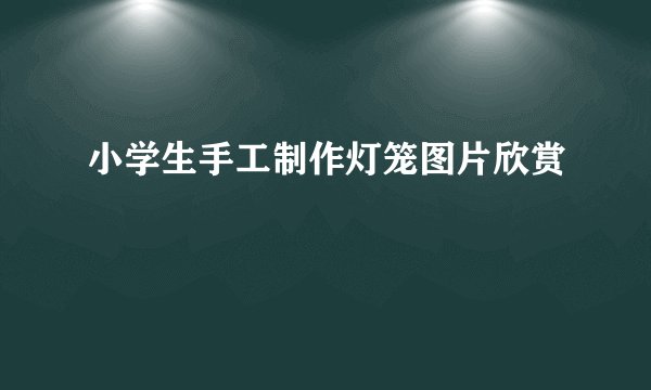 小学生手工制作灯笼图片欣赏