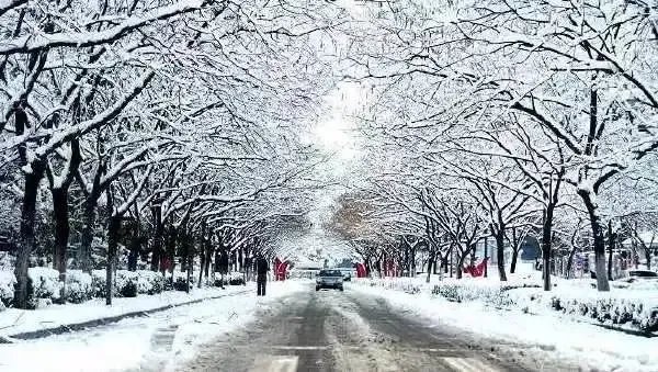 南京的雪不是“一骗再骗”，未来将会有几级大暴雪？