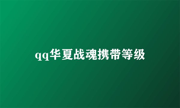 qq华夏战魂携带等级
