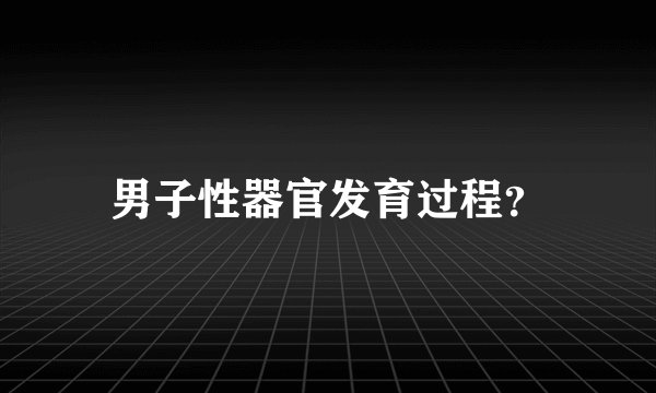 男子性器官发育过程？