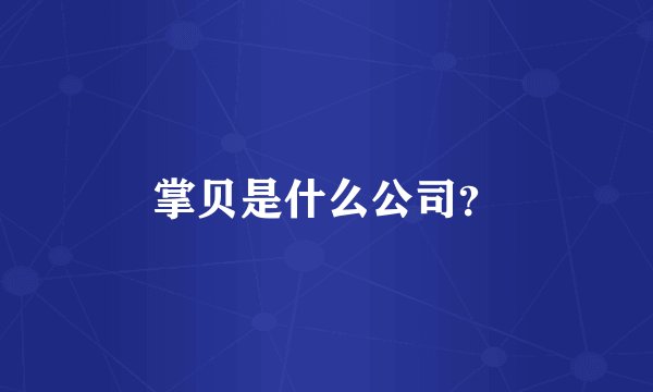 掌贝是什么公司？