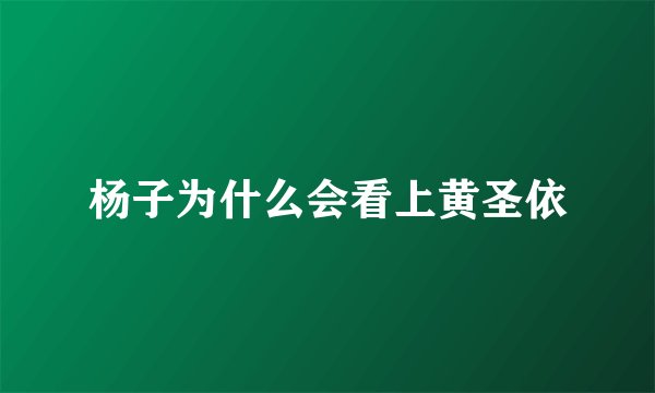 杨子为什么会看上黄圣依