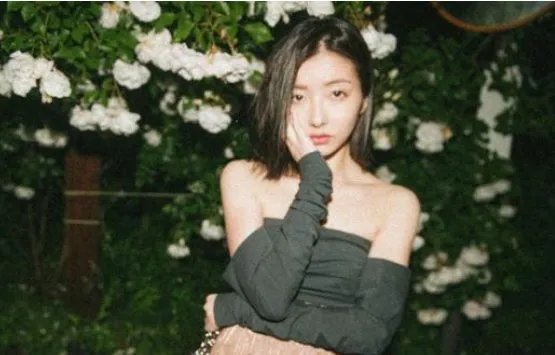 同样是王思聪的前女友,雪梨是凭借什么自创品牌,身价过亿成为豪门网红?