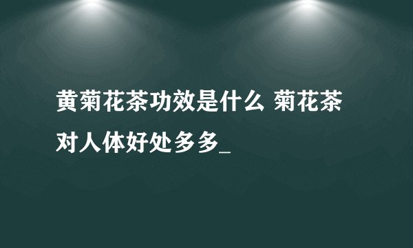 黄菊花茶功效是什么 菊花茶对人体好处多多_
