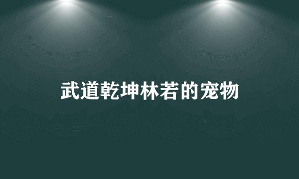 武道乾坤林若的宠物