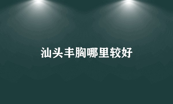 汕头丰胸哪里较好