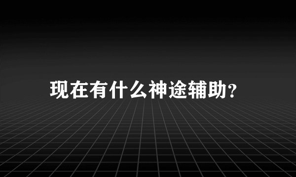 现在有什么神途辅助？