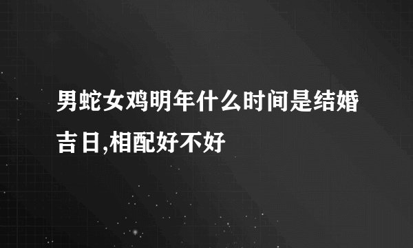男蛇女鸡明年什么时间是结婚吉日,相配好不好