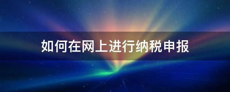 如何在网上进行纳税申报