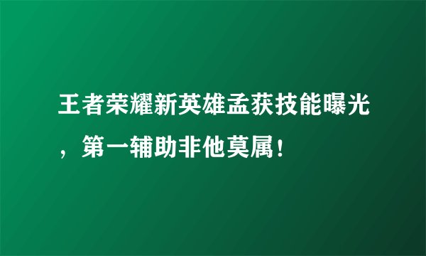 王者荣耀新英雄孟获技能曝光，第一辅助非他莫属！