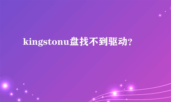 kingstonu盘找不到驱动?