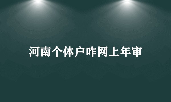河南个体户咋网上年审