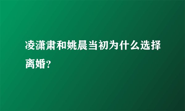 凌潇肃和姚晨当初为什么选择离婚?