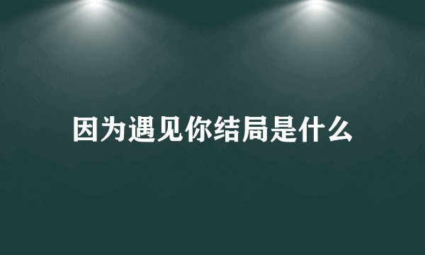 因为遇见你结局是什么