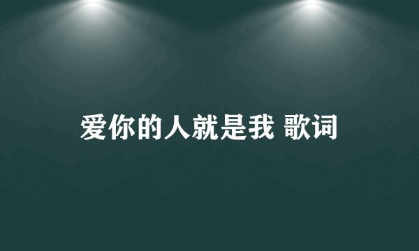 爱你的人就是我 歌词