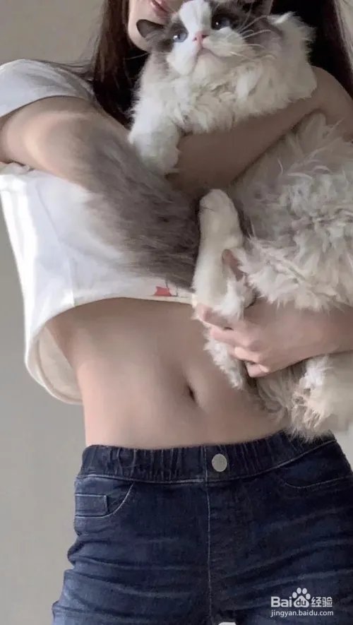 波比跳怎么做