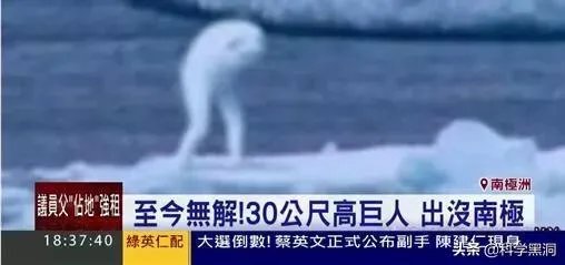 南极洲发现的神秘物种ningen真的存在吗?