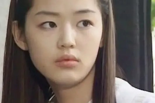 全智贤主演的电视剧