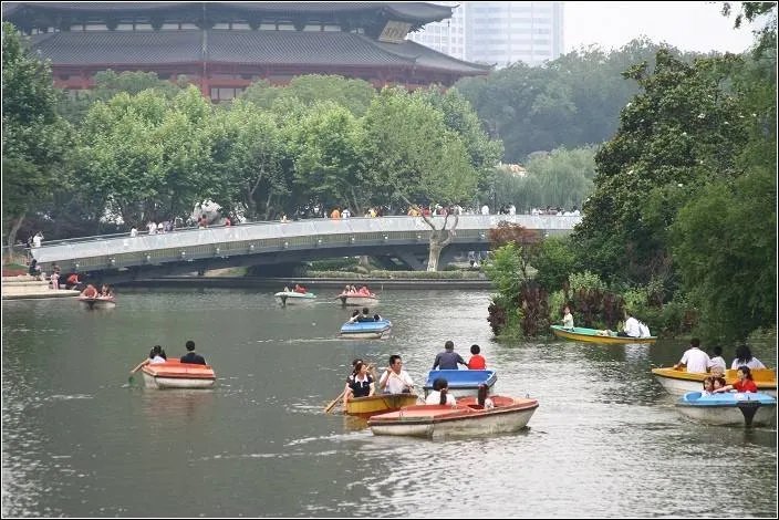 郑爽手机掉湖里,你觉得划船是否不应该玩手机?